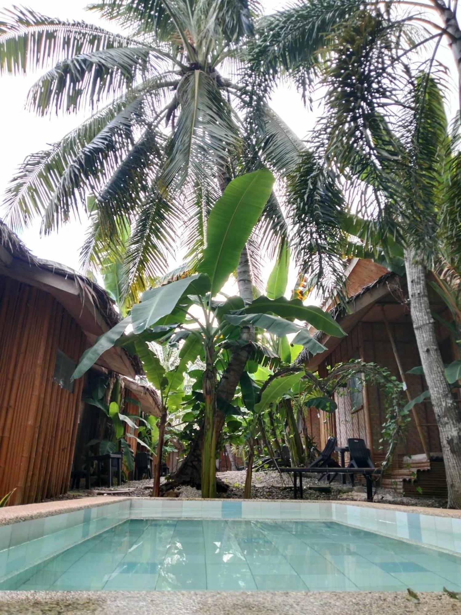 Ecostay Panglao Resort Hotel Εξωτερικό φωτογραφία