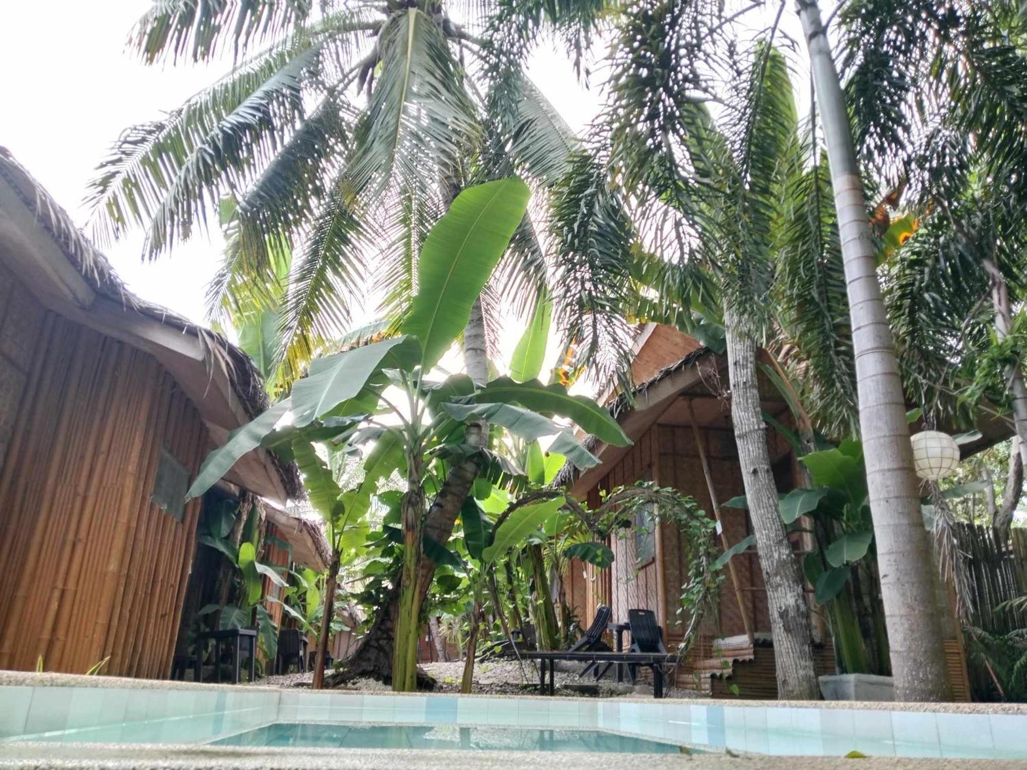 Ecostay Panglao Resort Hotel Εξωτερικό φωτογραφία